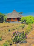 Eco Mara Tented Camp