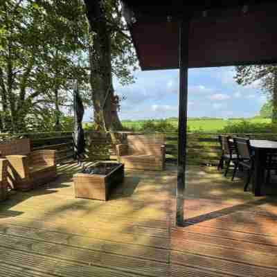 11 Tan-y-Coed Woodland Lodge Hotel Exterior