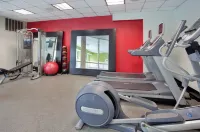 Hilton Garden Inn Orange Beach Beachfront - Gym