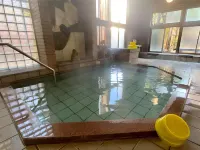 Kamesei Ryokan Hotels in Chikuma