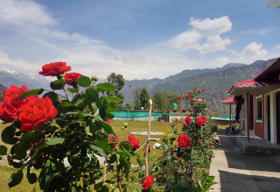 Himalayan View Resort