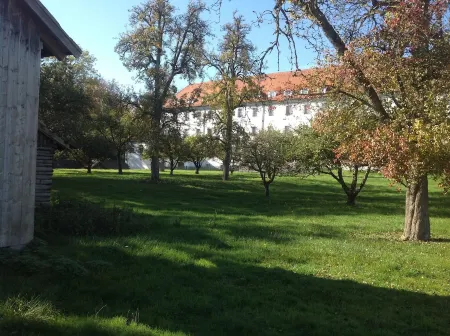 Apartment with kitchen and partly covered terrace. Central and quiet