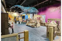 Q House in Marysville 4BR, 3.5Bath + AC Amazing Views, Kid & Pet Friendly Hoteles en Marysville