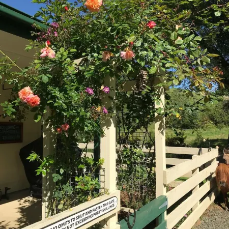 Kymmik Cottage - A slice of Tasmanian paradise