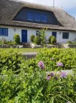 Living under "thatch" Family-friendly, dogs allowed, garden+large open space