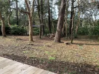 Maison Dans Residence Calme Avec Piscines Pres VIE Animee Hotels in Ondres