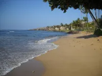 195-295/Night, Oceanfront with 2 Master Suites, Fully Stocked, Amazing View!!! - Bãi biển