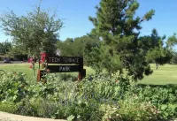 Modern Tiny Home in Tech Terrace – Walk to Texas Tech and J&B Coffee & More!