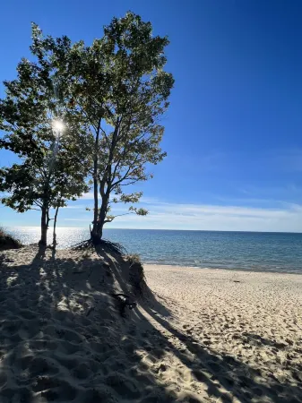 Family Friendly Home, Pool, Huge Yard, Gardens, Firepit, Close to Beaches Towns