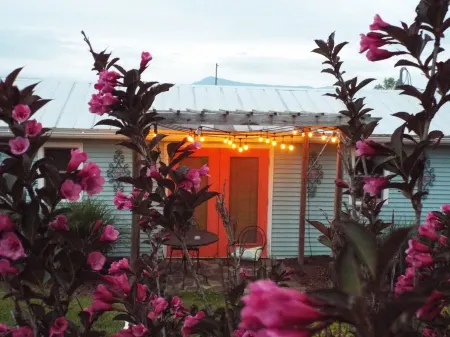 Charming Cottage, Fresh Eggs, Friendly Pets and Pet Friendly!