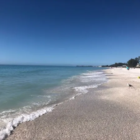 Fall in Love with This Gorgeous Pool Home Mins from Anna Maria! Pet Friendly! Отели в г. Уэст-Брейдентон
