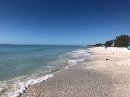 Fall in Love w This Gorgeous Pool Home Mins from Anna Maria! Pet Friendly, Too!