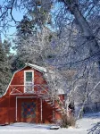 Deadwood Blackhills 2 Bit Creek Studio getaway Hotels in 