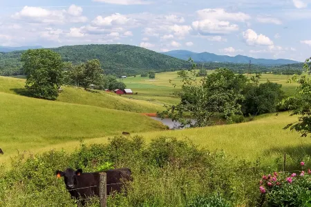 Elegant & Modern Carriage House at Twin Maple Farm