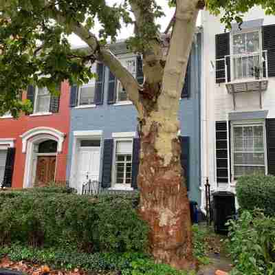 Beautiful S. Main St. Historic Row House Hotel Exterior