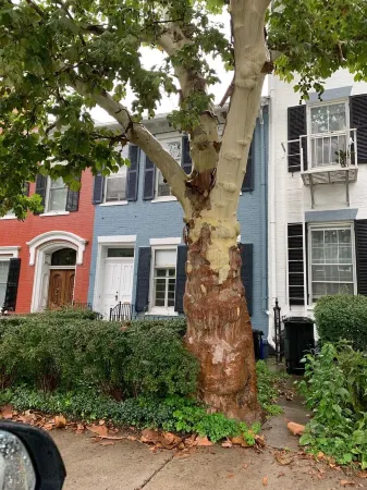 Beautiful S. Main St. Historic Row House Отели в г. Женева