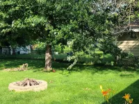Cheshire House // Family Home, Fenced Yard, Pet Friendly, 2 mi from Mayo Clinic Hotels near Walmart Supercenter