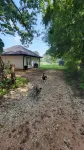 Relaxing Country Stay with Events Welcome!