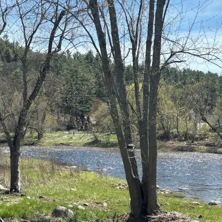 Spacious 2 Bedroom Rental on the Au Sable River