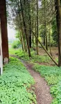 The Holle House- New Outdoor Area Updates!!