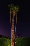 Palm Springs Perfection with Private Casita