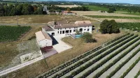 Magnifique Maison DE Campagne AU Milieu DES Vignes Avec Piscine