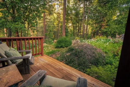 The Most Romantic Creekside Cabin - with Hot Tub and Privacy