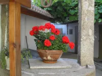 Ferrol: House with patio and small garden Hotels in Ferrol