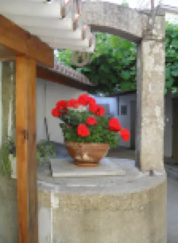 Ferrol: House with patio and small garden