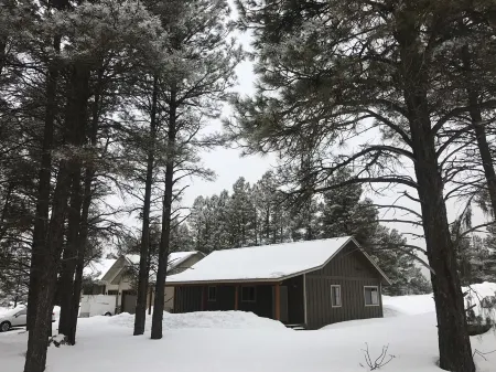 Cabin in Pagosa Lakes, Permit #: VRP036627