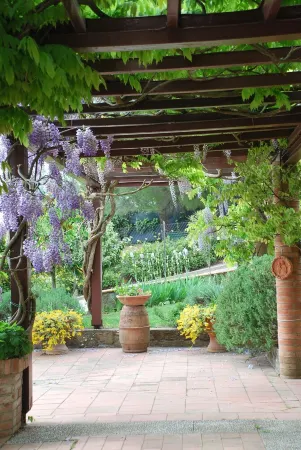 A wonderful country house in the heart of Chianti Отели в г. Greve in Chianti