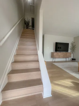 Olive Tree Oasis - 10 Minutes to the Ark!