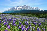 Cozy in Kenai Close to mouth of Kenai River and Beach access.