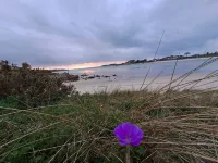Jolie Maison Néobretonne Proche de la mer et au Calme de la Campagne! Treflez 호텔