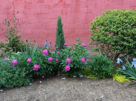 Historic Downtown Garden Oasis with Private Patio Отели рядом с достопримечательностью «Create»