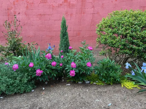 Historic Downtown Garden Oasis with Private Patio 切斯特敦酒店