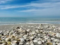 Charming Longboat Key Bungalow Minutes from Beaches, Restaurants, Parks Hotels in Longboat Key