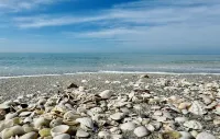 Charming Longboat Key Bungalow with Beach Access Minutes away…