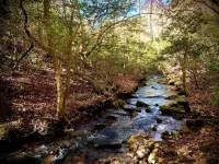 20 ACRES of Tranquillity Next to Desoto State Park