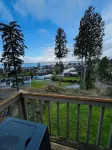 Charming, dog-friendly cabin in peaceful Birch Bay, Wa