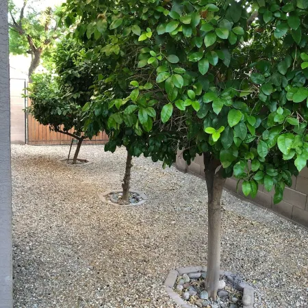 FUN IN THE ARIZONA SUN! HEATED POOL!