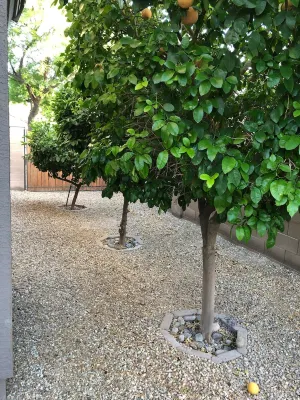 FUN IN THE ARIZONA SUN! HEATED POOL!