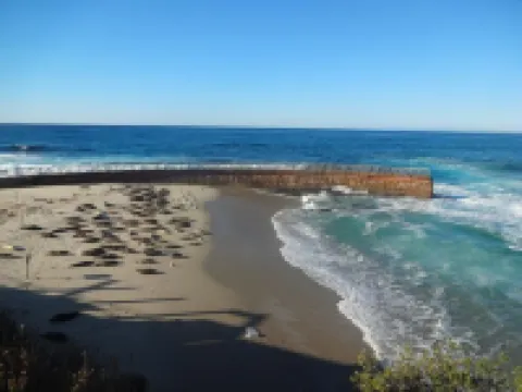 Ocean views, hot tub & pool, walk to beach, restaurants, and more!