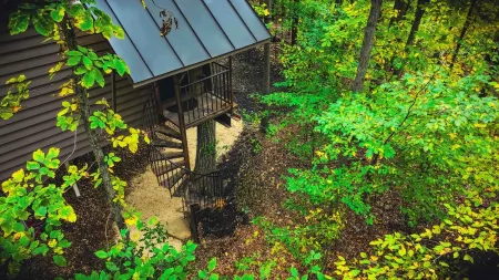 Magical Treehouse in Woods, Close many Wineries & Breweries, Pet Friendly!
