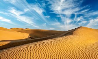 Dynasty Desert Camp