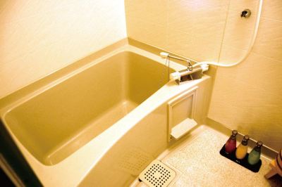 その他 胡蝶蘭の写真