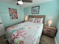 Laughing Gull at Shorebirds 3min walk to beach Sunsets! Kayaks Bikes and More!