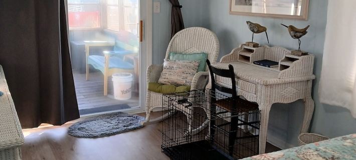 Family & Pet Friendly CottageClean, cozy, and relaxing vibe! Hotels in Kitty Hawk