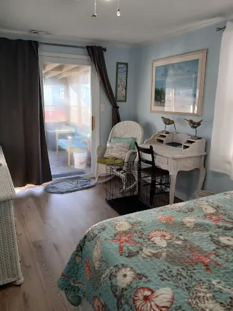 Family & Pet Friendly CottageClean, cozy, and relaxing vibe!