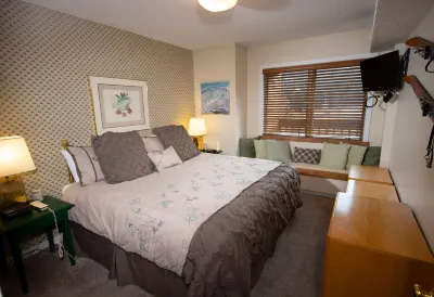 Mountain Lodge at Okemo-1Br Fireplace & Updated Kitchen 1 Bedroom Condo by RedAwning